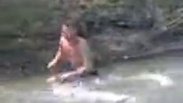 РУССКАЯ РЫБАЛКА смотреть онлайн