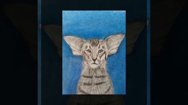Cat Oriental.The eyes of granny self-taught.Dry Brush/Бабушка самоучка. Кошка породы Ориентал смотреть онлайн