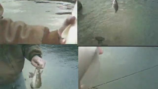 An Effective fishing tool... Nightcrawlers Pt.1 - Rods in the dirt Episode 4 смотреть онлайн