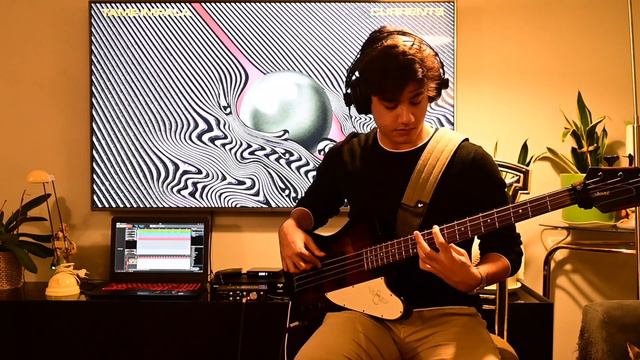 Tame Impala - The Less I Know The Better (Bass Cover) смотреть онлайн