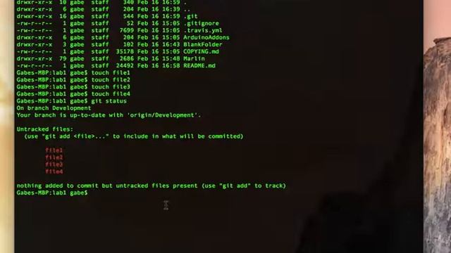 GiT Lab 12: Remove local (untracked) files from my current GiT branch смотреть онлайн