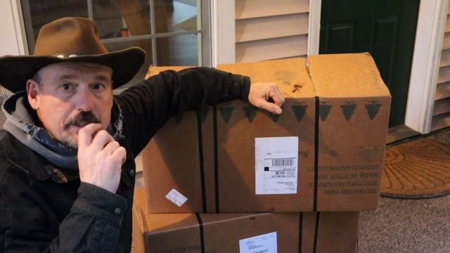 Christmas tree seedlings available now. Nordmann fir ready for you 3/4/2022 смотреть онлайн