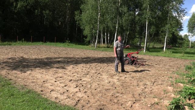 Правильный способ посадки сидератов. Культиватор борона  КБ-00.000. МТЗ с Weima WM188F 13л/с.