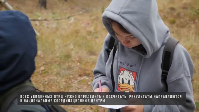 Дни наблюдения птиц смотреть онлайн