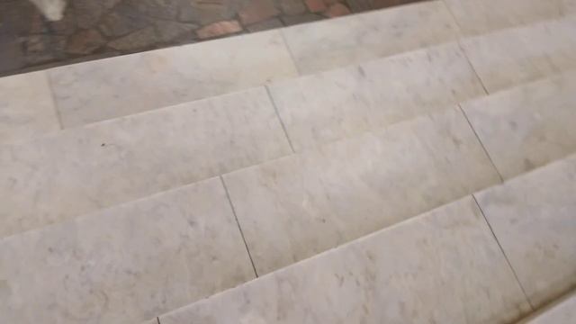 Музей динозавров 2часть🦕🦖 смотреть онлайн