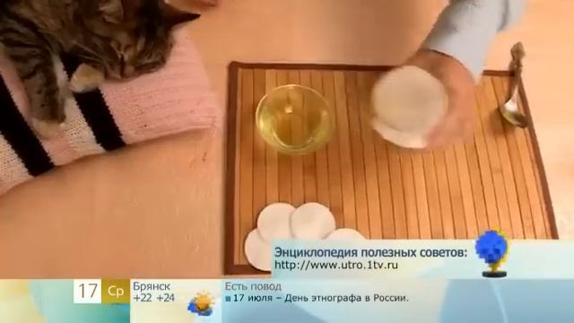 Как промыть кошке уголки глаз смотреть онлайн