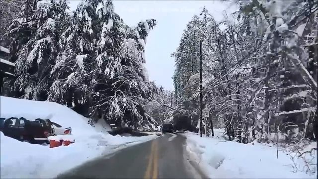 Chris Rea ~ Looking For The Summer (1991) смотреть онлайн