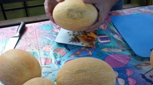 Обзор дынь Августин и Карамель,дегустация