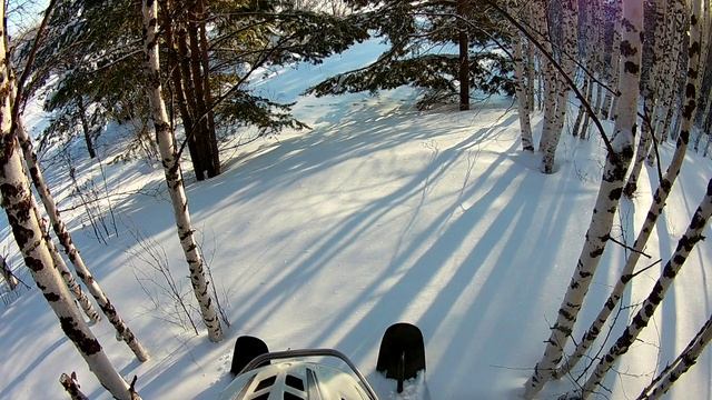 Прогулка по лесу 7.02.22..mp4 смотреть онлайн