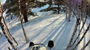 Прогулка по лесу 7.02.22..mp4