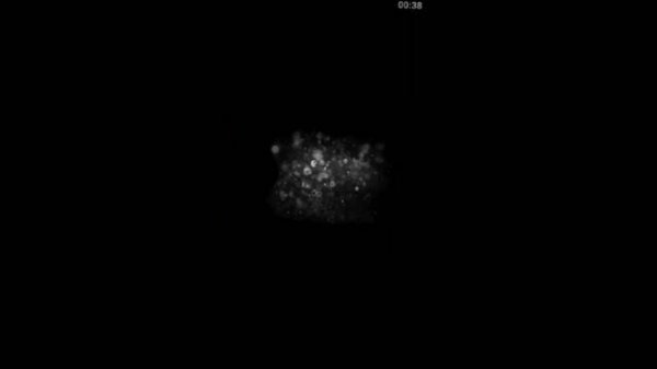 Mega pack Gfx atualizado?  (PS TOUCH) Drive And pack ? - LINK DIRETO (By tsuvi ?)