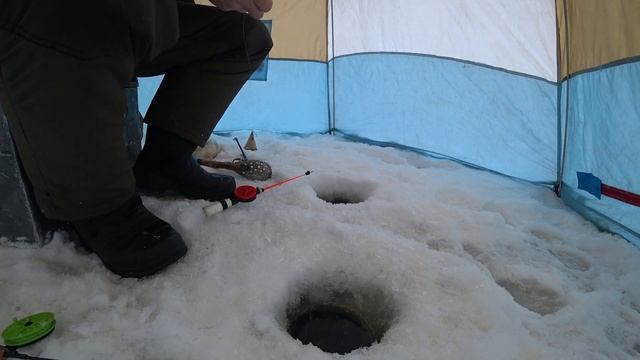 ЗИМНЯЯ РЫБАЛКА НА МОРМЫШКУ НА СЛИЯНИЕ РЕКИ РУШ И НИЖНЕТАГИЛЬСКОГО ПРУДА! РЫБАЛКА НА УРАЛЕ! смотреть онлайн