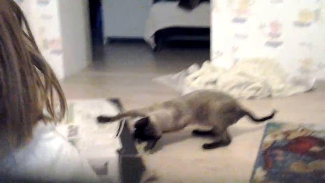 Синтезатор смотреть онлайн