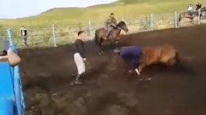 Приручение лошади