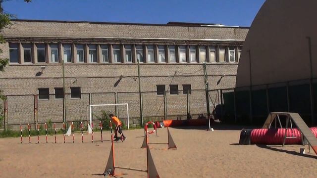 Джампинг+Бум Полянская Олеся Цвергпинчер СЛАВЯНКА БОГЕМА смотреть онлайн