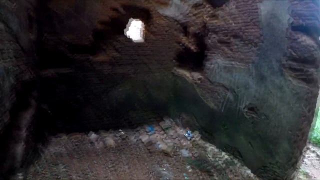 Ломоносовский р-он ,д.Гостилицы ,Руины усадьбы Птемкиных , 09.08.19г . смотреть онлайн