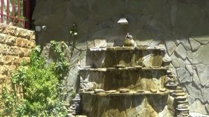 УРА!!! К МОРЮ!!! Агой. Отель " ЮЛИЯ".