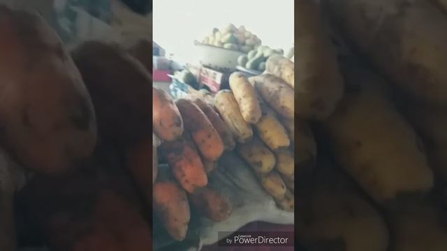 # Uzbekistan Andijan#узбекистан андижан##узбекистон