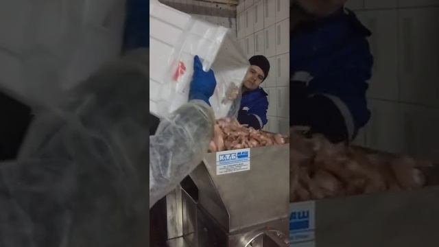 Пресс механической обвалки ПО-1000 смотреть онлайн