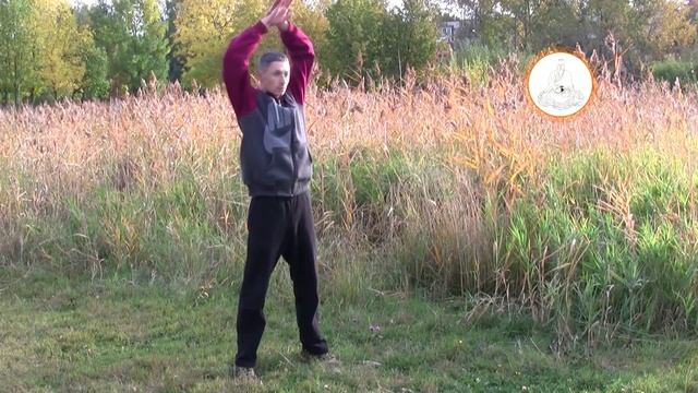 Комплекс Дантянь-Цигун "11 животных" смотреть онлайн