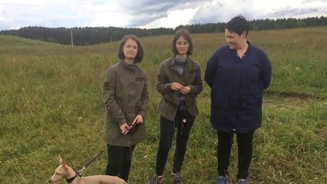 Зачем собаке бега? Левретка Денди смотреть онлайн