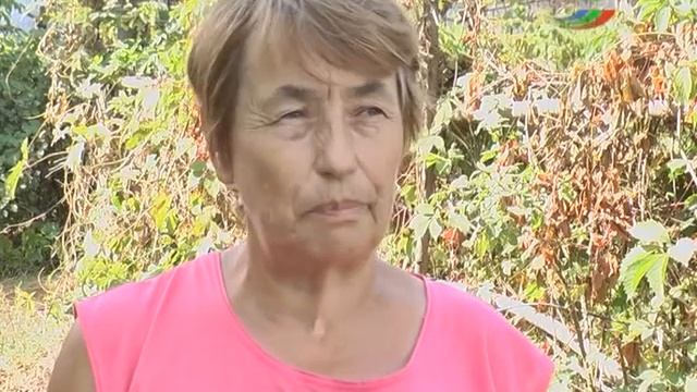 Пожар в садовом обществе. смотреть онлайн