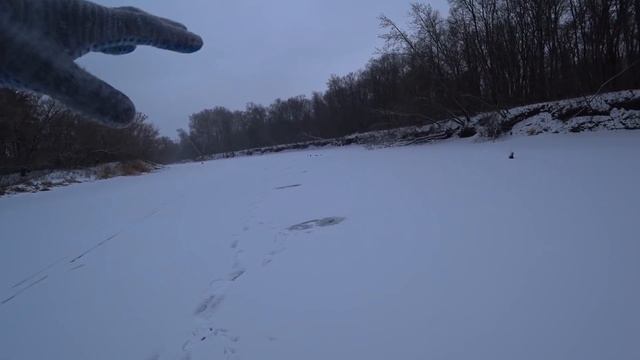 Оставляем жерлицы без присмотра на ночь, проверяем утром. Ловля судака на балансир. Рыбалка 2020. смотреть онлайн