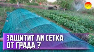 Как спастись от града? Нужна ли вам затеняющая сетка