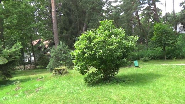 Светлогорск. 07.07.2020. смотреть онлайн