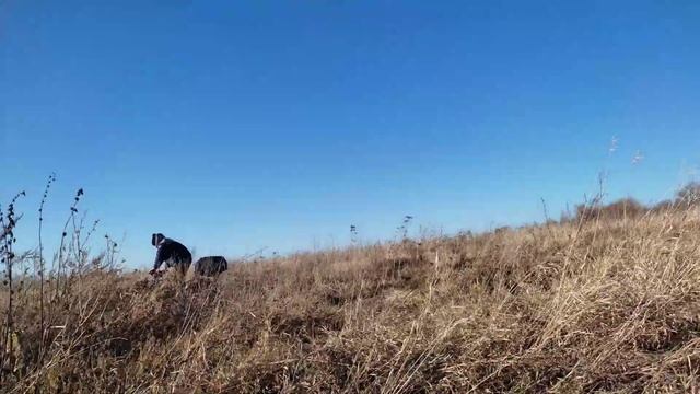 ЕЗДА ПО БОЛЬШИМ ХОЛМАМ — Осенний обзор на Квадроцикл AVANTIS HUNTER 200 NEW смотреть онлайн