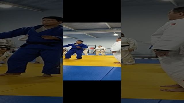 Seoi-nage смотреть онлайн
