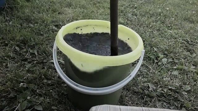 Подкормка кабачков и тыкв во время плодоношения. смотреть онлайн