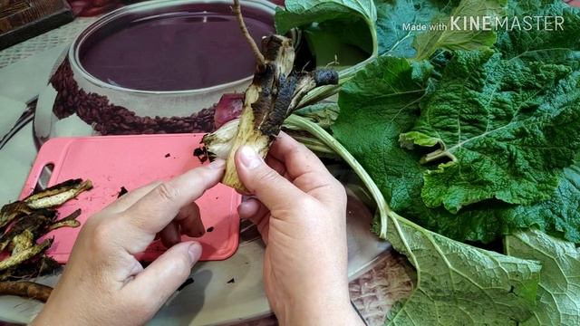 ЛОПУХ! Варикоз, боль в колене пройдут! Вылечит от многих болезней! Самый лучший доктор. смотреть онлайн