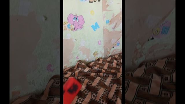 lv_0_20230723122323.mp4