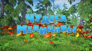 Маша и Медведь, Чудеса медицины, 122 серия