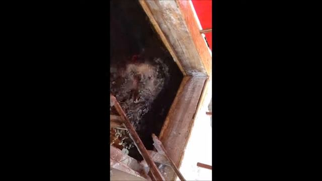 Салаирский источник 2015