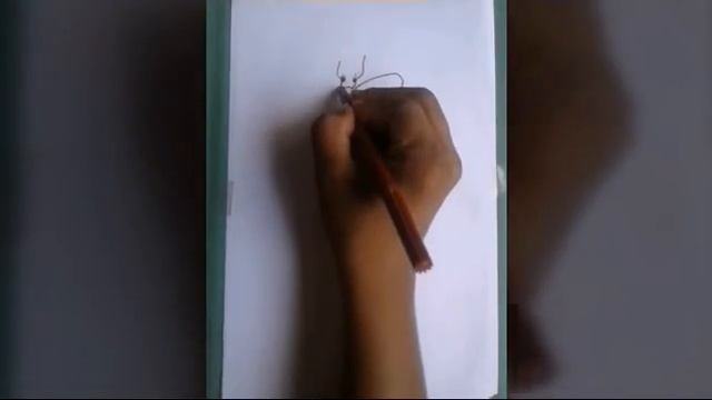 How to draw a pieris brassicae смотреть онлайн