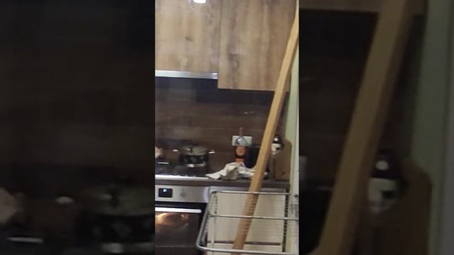 2022 двери шпон дуба смотреть онлайн