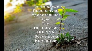 Р  Сеф  Чудо #стихидлядетей #поэты20века