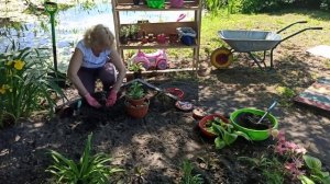 Самая лучшая клумба из суккулентов своими руками