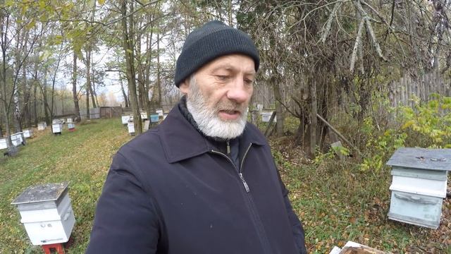 ОСЕНЬ. КАКИЕ ОТКРЫВАТЬ ЛЕТКИ И НА СКОЛЬКО. смотреть онлайн