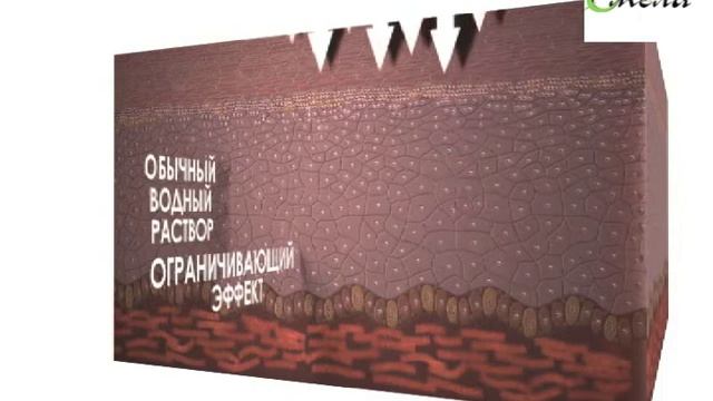 Enerpeel смотреть онлайн