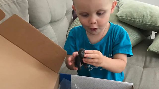 Игровой набор «Животные джунглей. Мамы и малыши» смотреть онлайн