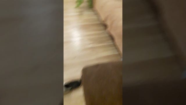 КВ 6 сражается с электричкой 2 часть смотреть онлайн