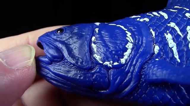 Mojo ® Quastenflosser / Coelacanth - Neuheit 2022 New - Review (Deutsch / German) смотреть онлайн