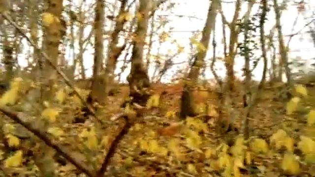 Высохший ручей РЕЛАКС смотреть онлайн