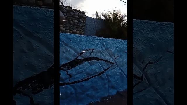 dibujando en una #picina смотреть онлайн