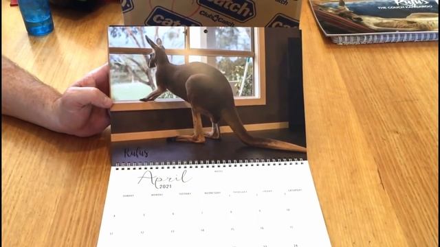 INTRODUCING THE 'RUFUS THE COUCH KANGAROO' 2021 CALENDARS смотреть онлайн
