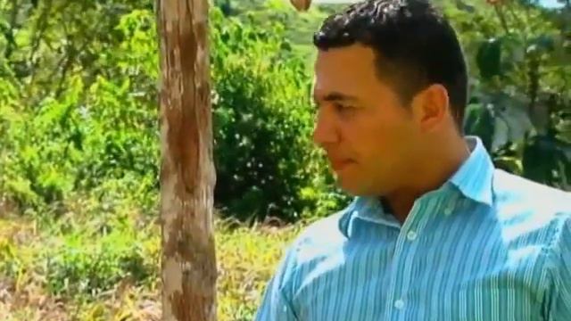 cultivos de stevia en Colombia смотреть онлайн