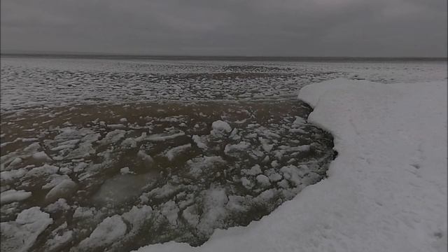 Берег Онежского озера забило шугой.